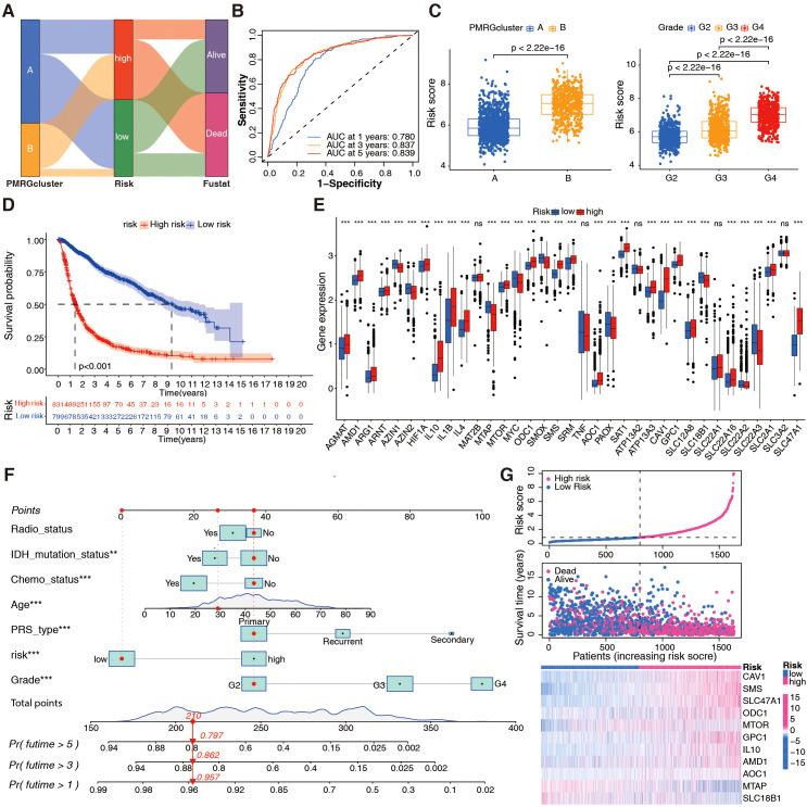 https://cdn.ncbi.nlm.nih.gov/pmc/blobs/edcb/12319057/d537a7ef48d4/fonc-15-1517557-g003.jpg