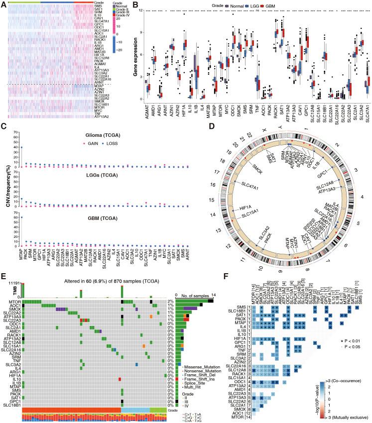 https://cdn.ncbi.nlm.nih.gov/pmc/blobs/edcb/12319057/fb467bf26a10/fonc-15-1517557-g001.jpg