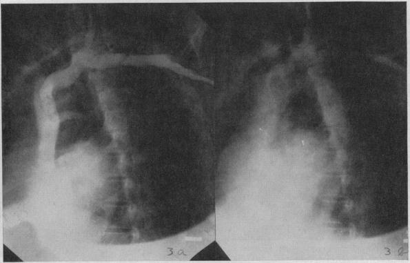 https://cdn.ncbi.nlm.nih.gov/pmc/blobs/edcb/1532069/4af64eae230a/califmed00291-0020-b.jpg