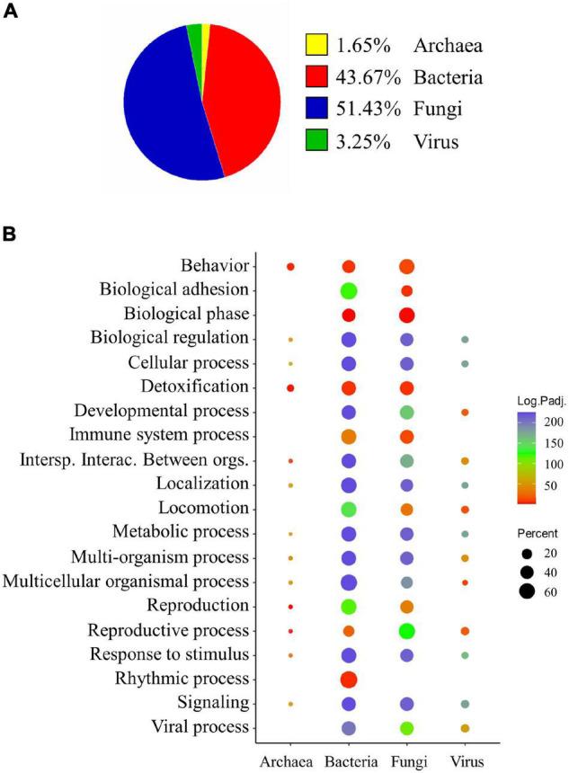 https://cdn.ncbi.nlm.nih.gov/pmc/blobs/edcb/9121002/17606b9240ab/fmicb-13-883738-g002.jpg