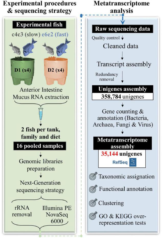 https://cdn.ncbi.nlm.nih.gov/pmc/blobs/edcb/9121002/6ce4e638eddd/fmicb-13-883738-g001.jpg