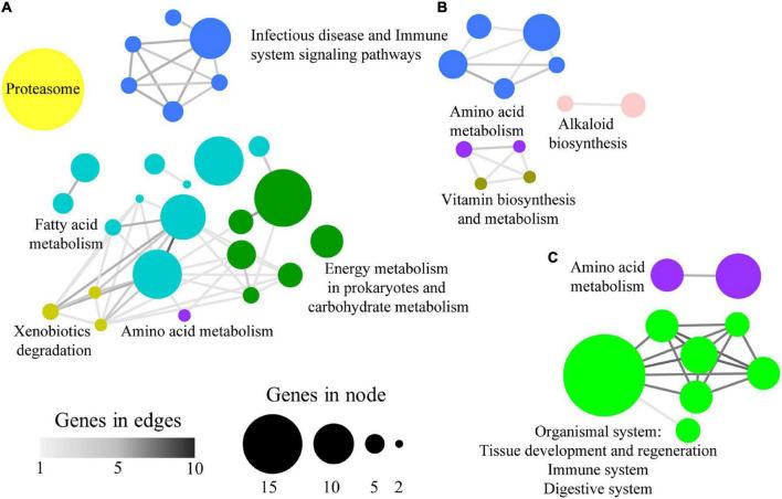 https://cdn.ncbi.nlm.nih.gov/pmc/blobs/edcb/9121002/c458c7bddf0d/fmicb-13-883738-g005.jpg
