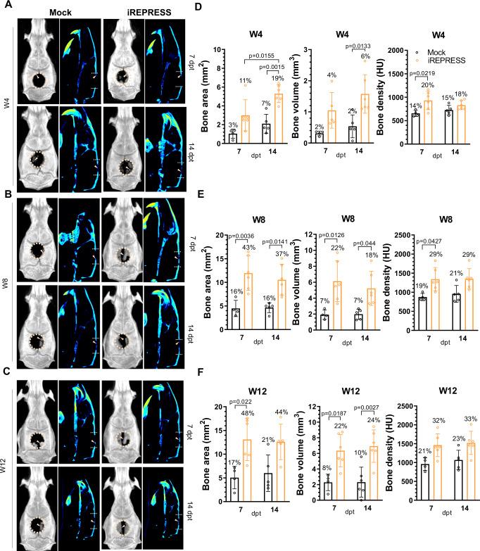 https://cdn.ncbi.nlm.nih.gov/pmc/blobs/edcc/11436717/646da3a9b9eb/41467_2024_52707_Fig6_HTML.jpg