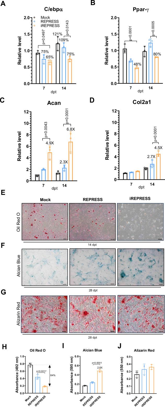 https://cdn.ncbi.nlm.nih.gov/pmc/blobs/edcc/11436717/6a1e3e9eb66d/41467_2024_52707_Fig4_HTML.jpg