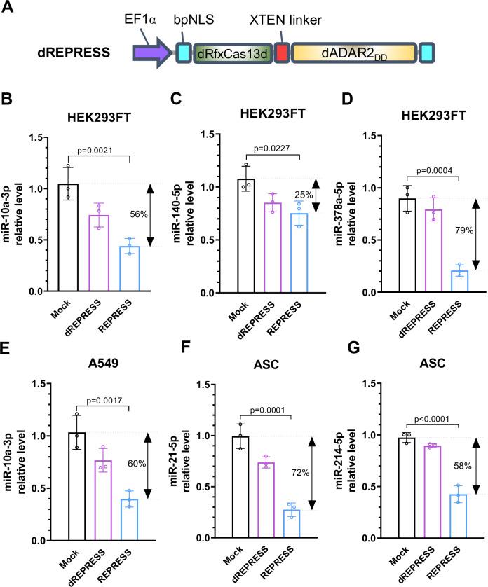 https://cdn.ncbi.nlm.nih.gov/pmc/blobs/edcc/11436717/88e7b732d2e9/41467_2024_52707_Fig2_HTML.jpg
