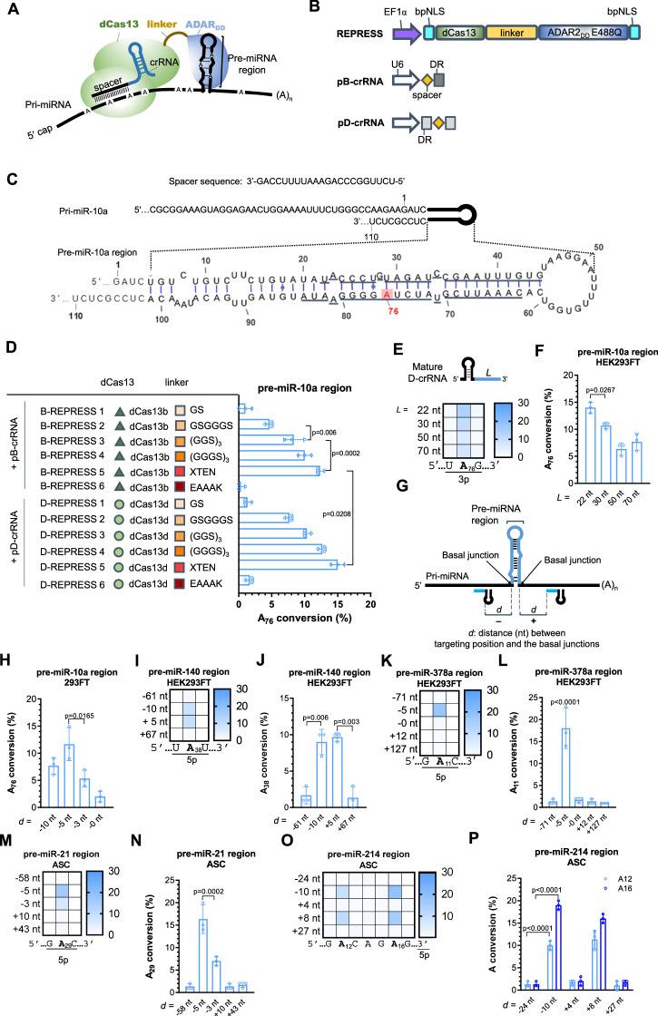 https://cdn.ncbi.nlm.nih.gov/pmc/blobs/edcc/11436717/adf341c93570/41467_2024_52707_Fig1_HTML.jpg