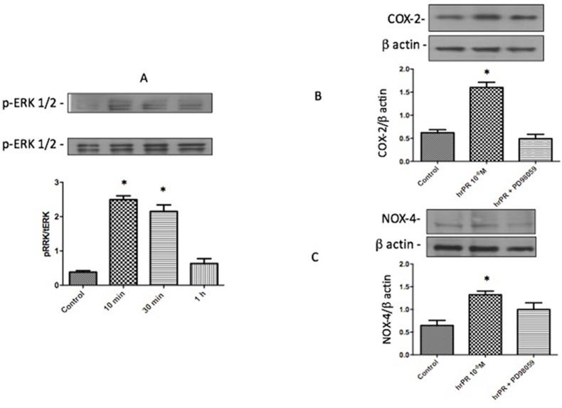 https://cdn.ncbi.nlm.nih.gov/pmc/blobs/edcc/6664006/80ec8e4e86b0/fphar-10-00803-g001.jpg