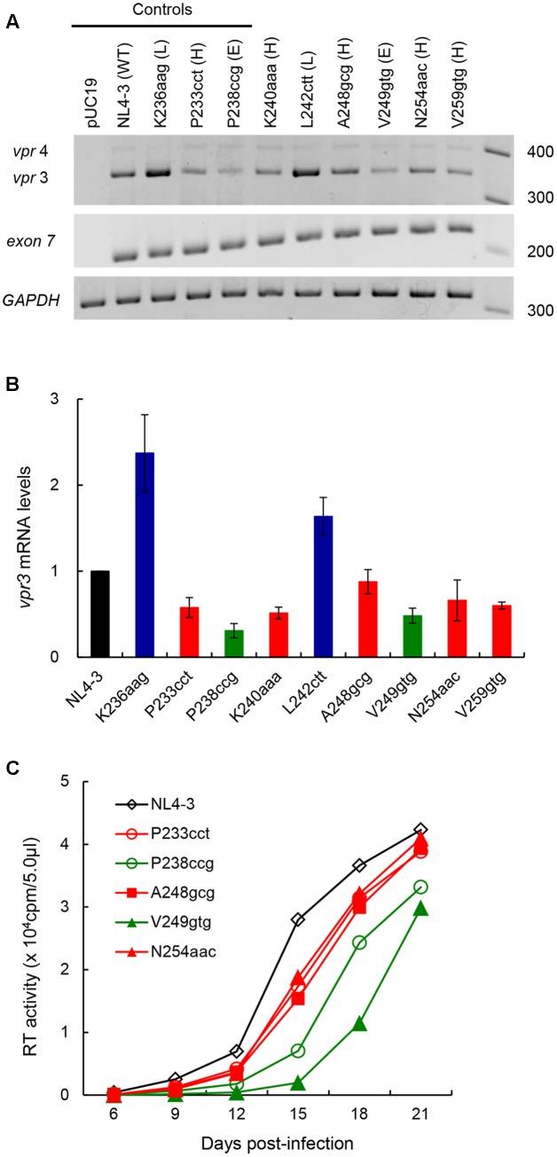https://cdn.ncbi.nlm.nih.gov/pmc/blobs/edce/5741601/0f26c40dc9c1/fmicb-08-02542-g004.jpg