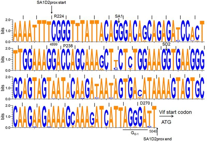 https://cdn.ncbi.nlm.nih.gov/pmc/blobs/edce/5741601/7bad4918212e/fmicb-08-02542-g002.jpg