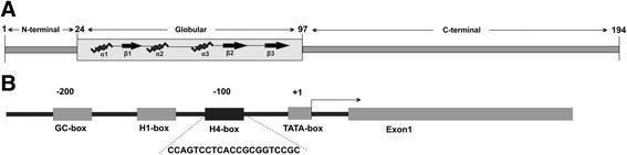 https://cdn.ncbi.nlm.nih.gov/pmc/blobs/edd3/5414669/89607f158853/11658_2016_14_Fig1_HTML.jpg