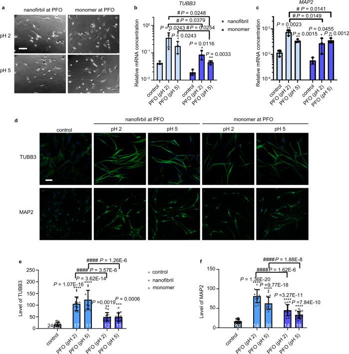 https://cdn.ncbi.nlm.nih.gov/pmc/blobs/edd5/9166733/b0a4c69fa3f0/41467_2022_30622_Fig3_HTML.jpg