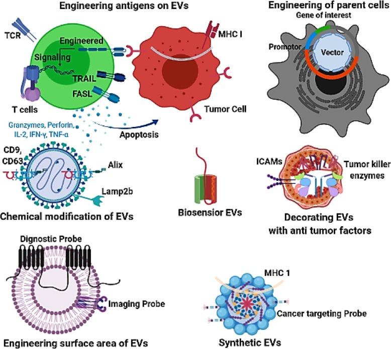 https://cdn.ncbi.nlm.nih.gov/pmc/blobs/edd6/6880555/7b9aa64f2136/13287_2019_1468_Fig3_HTML.jpg