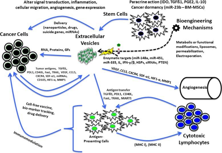 https://cdn.ncbi.nlm.nih.gov/pmc/blobs/edd6/6880555/886e8067d7d3/13287_2019_1468_Fig2_HTML.jpg