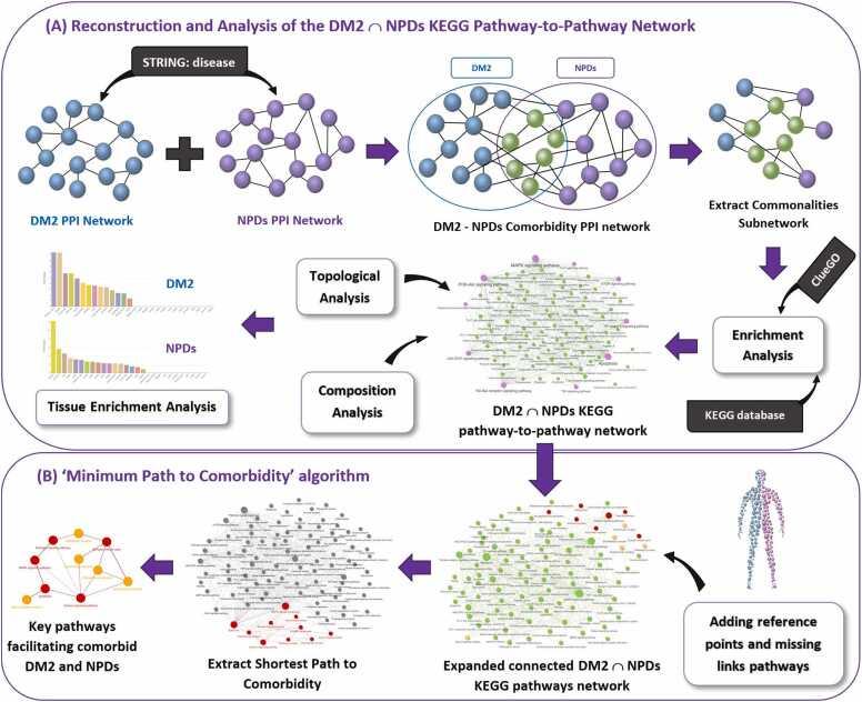 https://cdn.ncbi.nlm.nih.gov/pmc/blobs/edd7/11530817/e6da1fe522ae/gr1.jpg