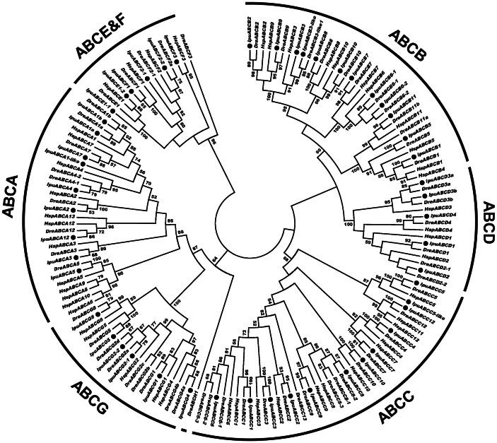 https://cdn.ncbi.nlm.nih.gov/pmc/blobs/edd7/3655950/cabce3f464a6/pone.0063895.g001.jpg