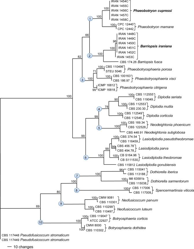 https://cdn.ncbi.nlm.nih.gov/pmc/blobs/edd8/2802722/819a7ee939f3/per-23-1-g001.jpg