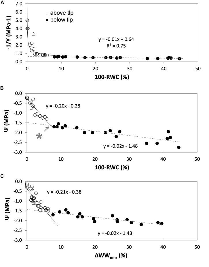 https://cdn.ncbi.nlm.nih.gov/pmc/blobs/edd8/7892787/a4d778122ec1/fpls-12-617768-g005.jpg