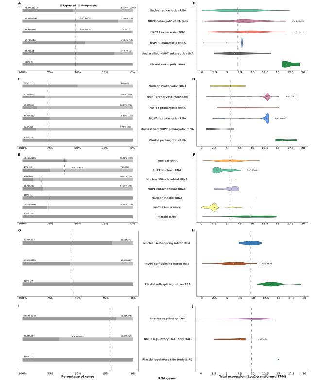 https://cdn.ncbi.nlm.nih.gov/pmc/blobs/eddb/11110229/3fcecec0068d/12870_2024_5158_Fig4_HTML.jpg