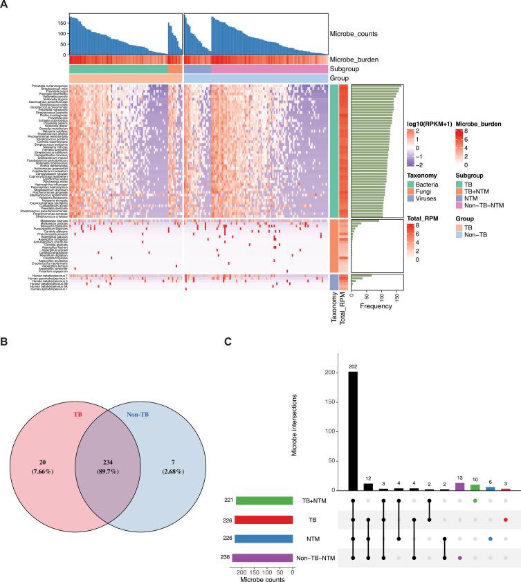 https://cdn.ncbi.nlm.nih.gov/pmc/blobs/eddd/12056525/42d61d836f4e/IDR-18-2215-g0003.jpg