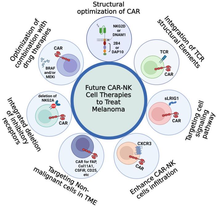 https://cdn.ncbi.nlm.nih.gov/pmc/blobs/edde/10706172/57078b0d1322/cells-12-02750-g004.jpg