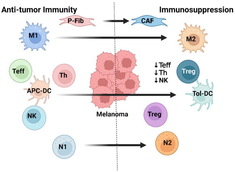 https://cdn.ncbi.nlm.nih.gov/pmc/blobs/edde/10706172/a54a464d6e31/cells-12-02750-g002.jpg