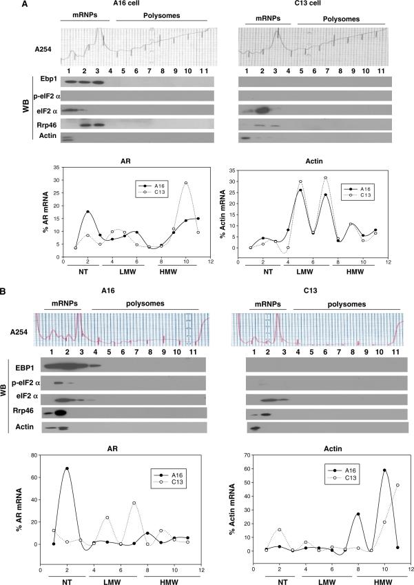 https://cdn.ncbi.nlm.nih.gov/pmc/blobs/eddf/2887957/4946e0a69130/gkq084f7.jpg