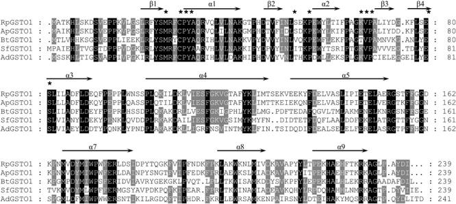 https://cdn.ncbi.nlm.nih.gov/pmc/blobs/eddf/5920109/19a7f97fea98/fphys-09-00427-g002.jpg
