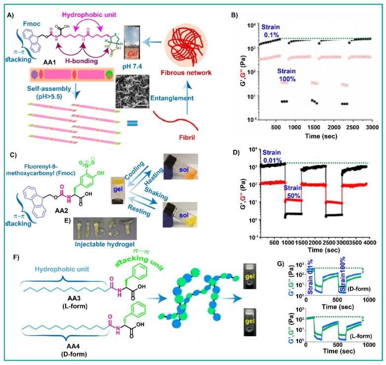 https://cdn.ncbi.nlm.nih.gov/pmc/blobs/ede1/9498505/e66080ad2e60/gels-08-00569-g001.jpg