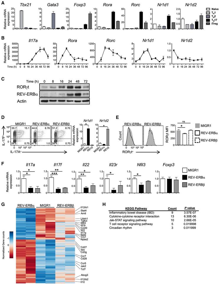 https://cdn.ncbi.nlm.nih.gov/pmc/blobs/ede2/6400287/6fd343a4af67/nihms-1517860-f0002.jpg