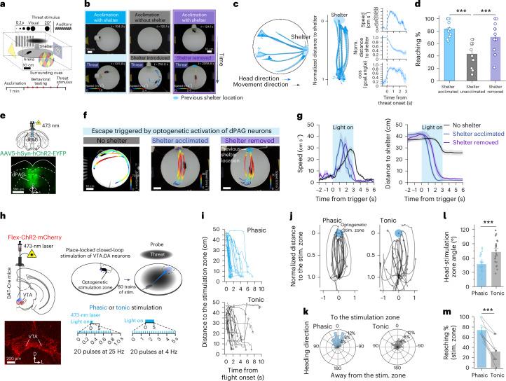 https://cdn.ncbi.nlm.nih.gov/pmc/blobs/ede3/11537966/15911579adb0/41593_2024_1770_Fig1_HTML.jpg