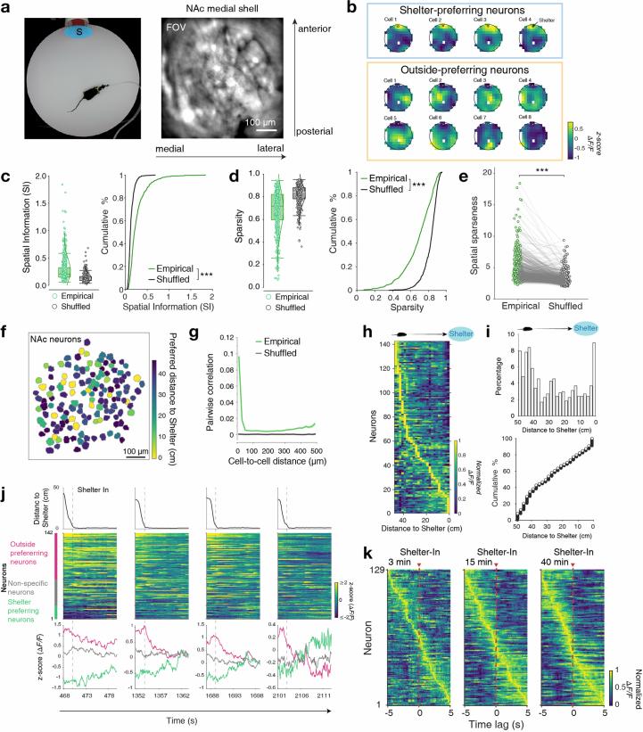https://cdn.ncbi.nlm.nih.gov/pmc/blobs/ede3/11537966/5bbb6f101b92/41593_2024_1770_Fig12_ESM.jpg