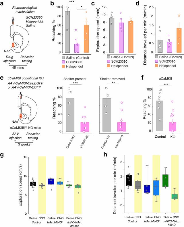 https://cdn.ncbi.nlm.nih.gov/pmc/blobs/ede3/11537966/ddf41c641209/41593_2024_1770_Fig13_ESM.jpg