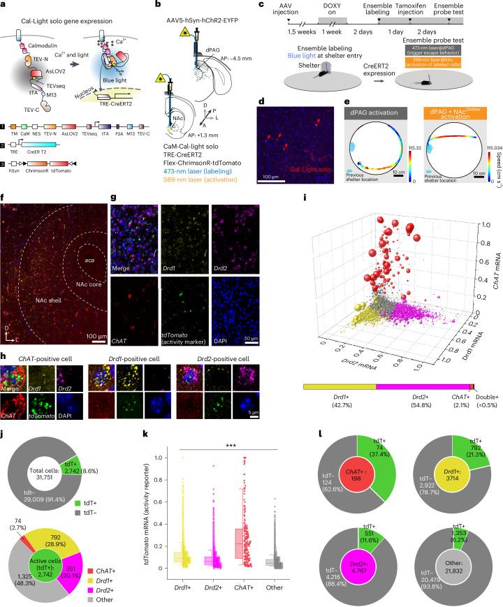 https://cdn.ncbi.nlm.nih.gov/pmc/blobs/ede3/11537966/e06b88edcfd0/41593_2024_1770_Fig7_HTML.jpg