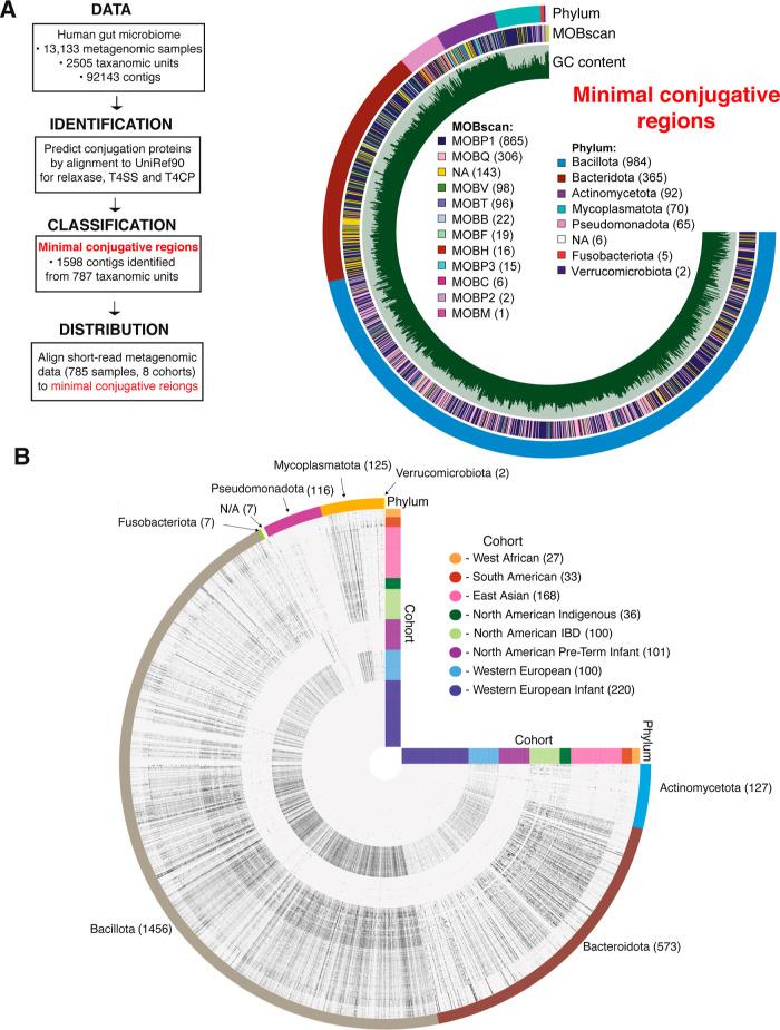 https://cdn.ncbi.nlm.nih.gov/pmc/blobs/ede8/10729033/7663e8ca79ea/sb3c00319_0001.jpg