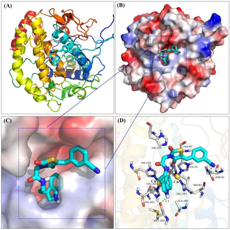 https://cdn.ncbi.nlm.nih.gov/pmc/blobs/edea/10673563/3b9e85c29b85/molecules-28-07470-g006.jpg