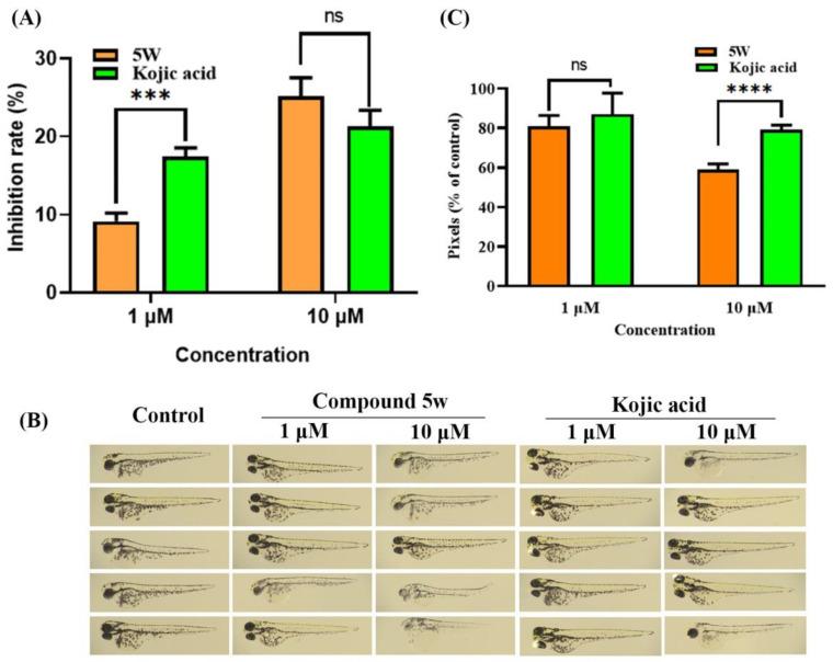 https://cdn.ncbi.nlm.nih.gov/pmc/blobs/edea/10673563/f1f8574a5a03/molecules-28-07470-g008.jpg