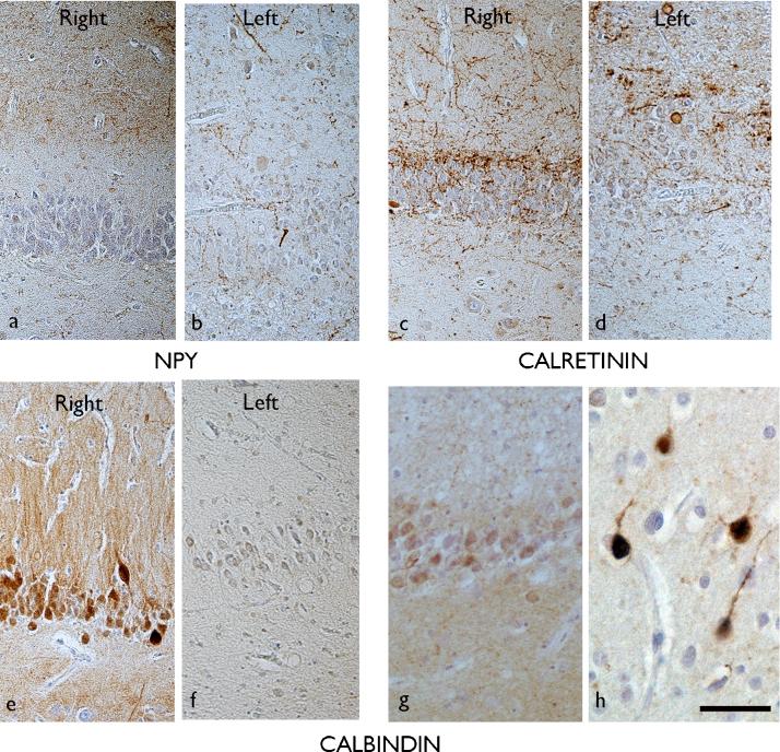 https://cdn.ncbi.nlm.nih.gov/pmc/blobs/edea/3500681/a737e94e90f1/gr6.jpg