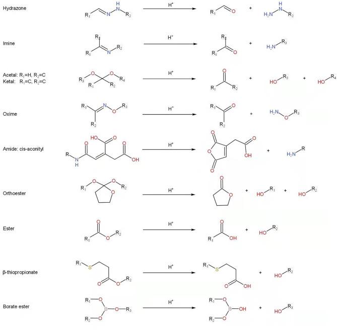 https://cdn.ncbi.nlm.nih.gov/pmc/blobs/edea/8980858/b1914d56ef34/fonc-12-855019-g002.jpg