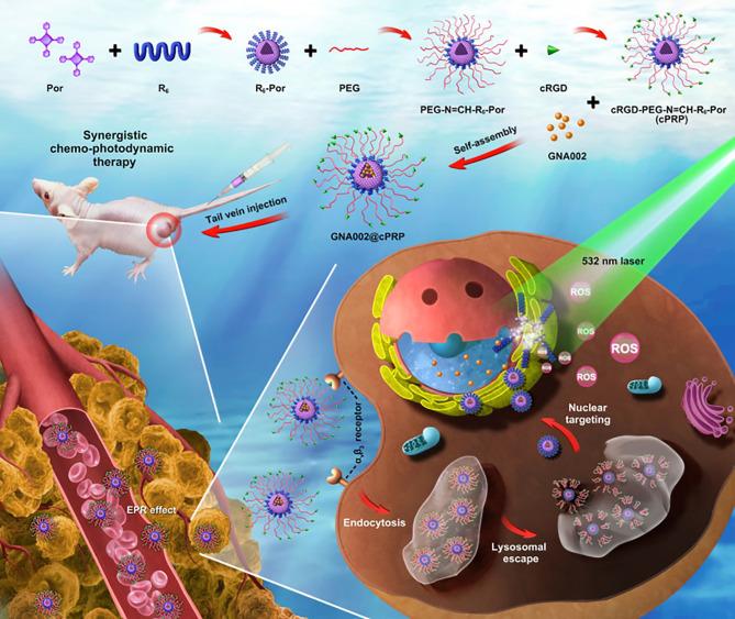 https://cdn.ncbi.nlm.nih.gov/pmc/blobs/edea/8980858/eba9e67252e1/fonc-12-855019-g006.jpg