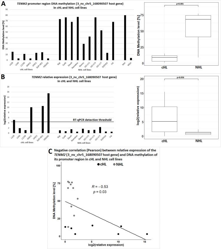 https://cdn.ncbi.nlm.nih.gov/pmc/blobs/edee/10038261/a4fb3a3bb76a/pone.0283186.g005.jpg