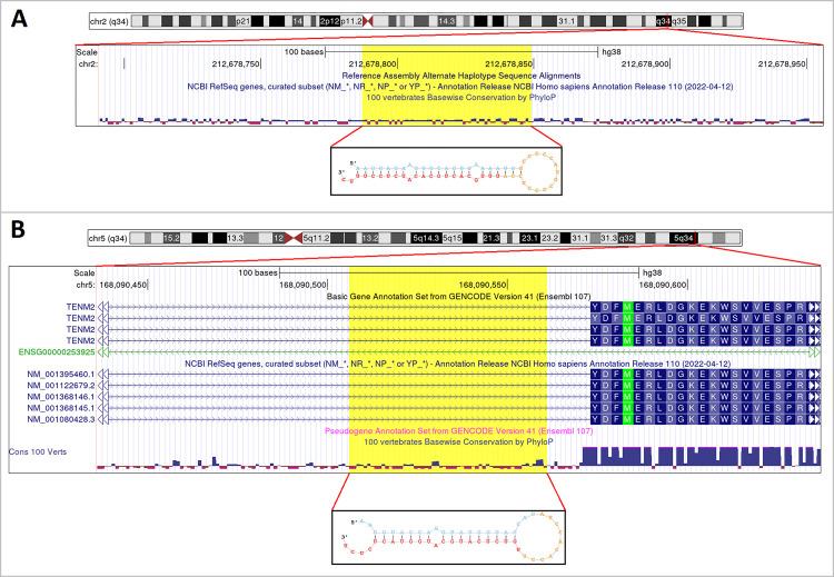 https://cdn.ncbi.nlm.nih.gov/pmc/blobs/edee/10038261/a933f201638c/pone.0283186.g001.jpg