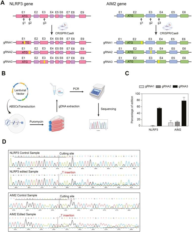 https://cdn.ncbi.nlm.nih.gov/pmc/blobs/edee/11328940/29335094908b/szae042_fig2.jpg