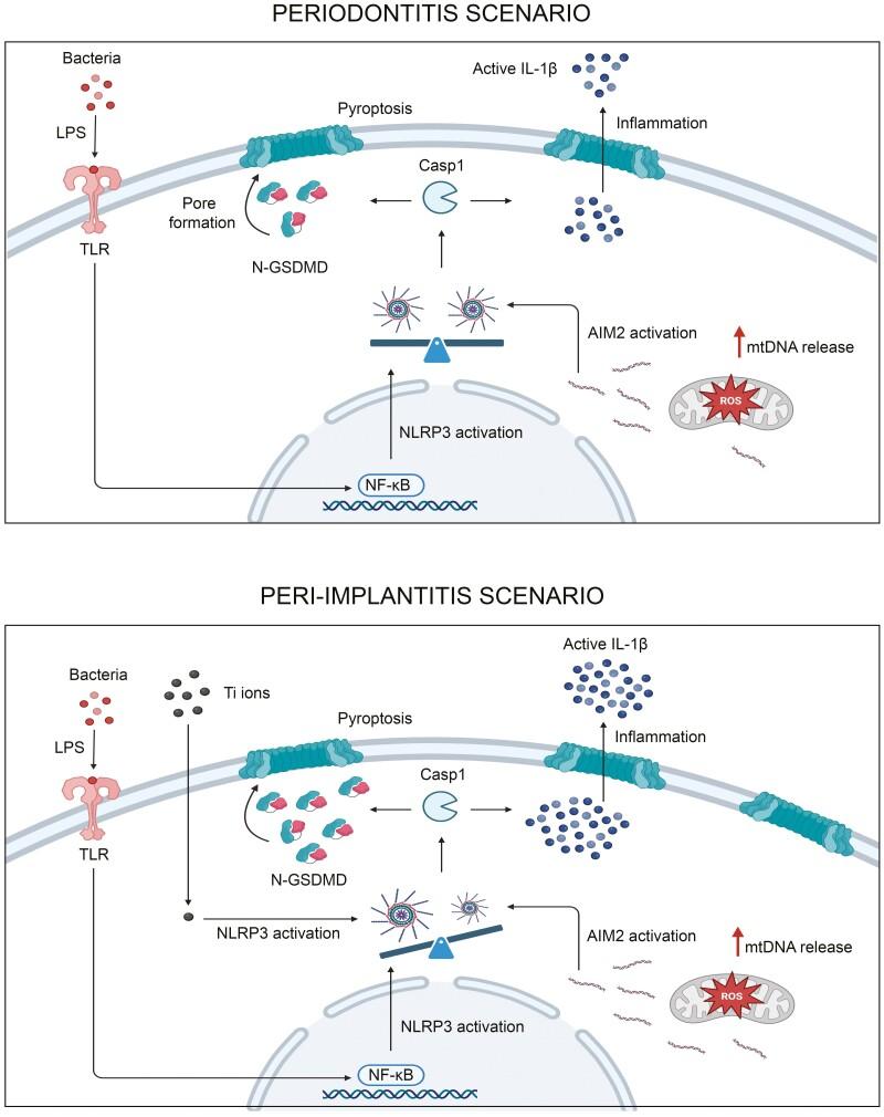 https://cdn.ncbi.nlm.nih.gov/pmc/blobs/edee/11328940/34b2c09f0dd6/szae042_fig7.jpg