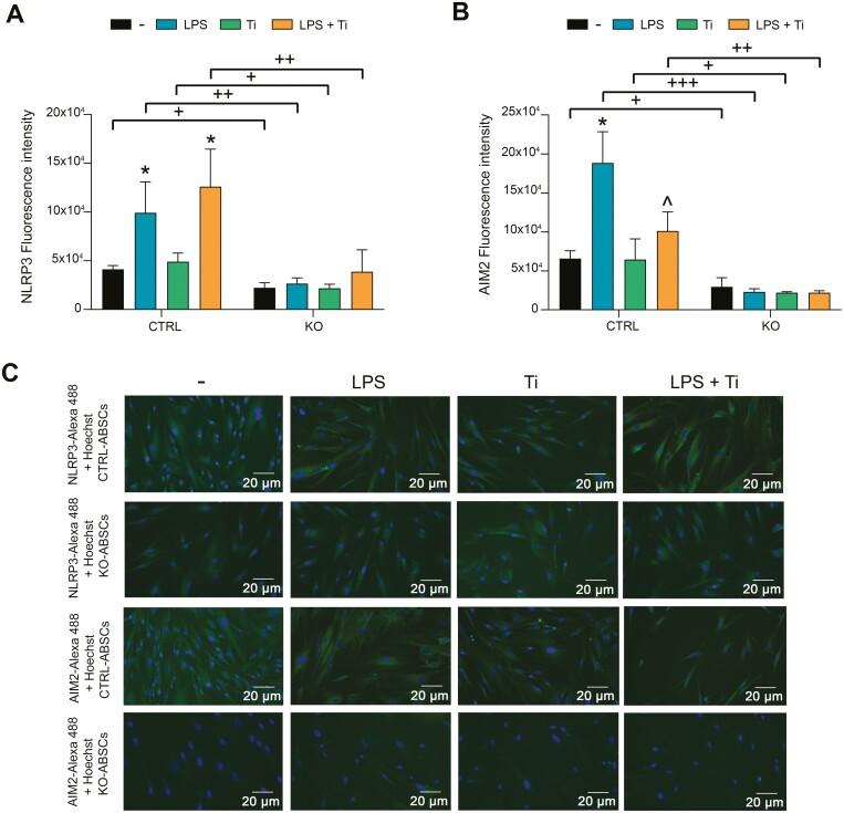 https://cdn.ncbi.nlm.nih.gov/pmc/blobs/edee/11328940/cde838e52b55/szae042_fig4.jpg