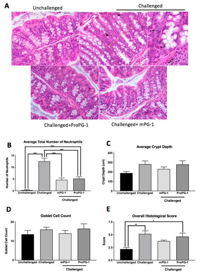 https://cdn.ncbi.nlm.nih.gov/pmc/blobs/edef/8431371/85358263a779/ijms-22-09494-g003.jpg