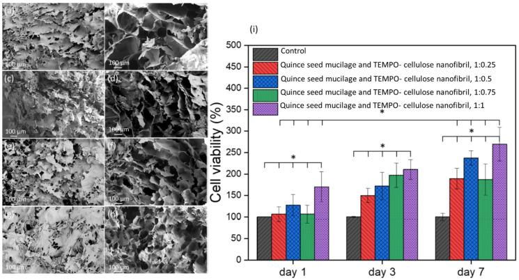 https://cdn.ncbi.nlm.nih.gov/pmc/blobs/edf0/10253623/7a05a994a39e/ijms-24-09464-g003.jpg