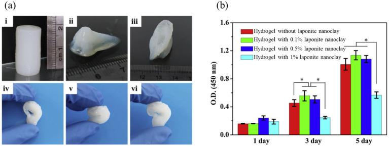 https://cdn.ncbi.nlm.nih.gov/pmc/blobs/edf0/10253623/a8cbead7a3e9/ijms-24-09464-g004.jpg