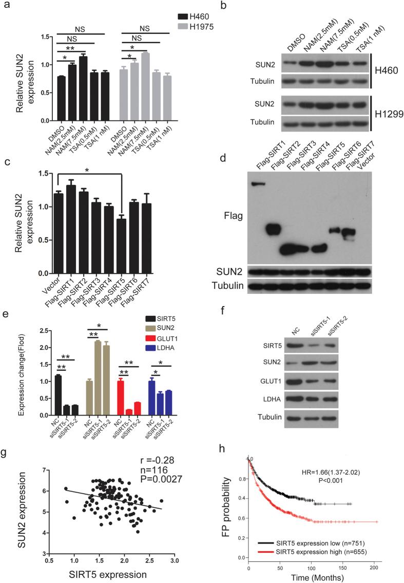 https://cdn.ncbi.nlm.nih.gov/pmc/blobs/edf3/4674702/ed3ee32c9f06/srep17940-f6.jpg