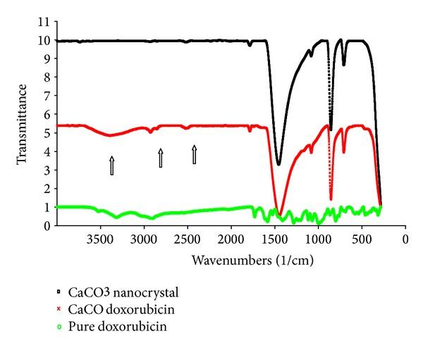 https://cdn.ncbi.nlm.nih.gov/pmc/blobs/edf6/4084513/67517959fe69/BMRI2014-391869.002.jpg