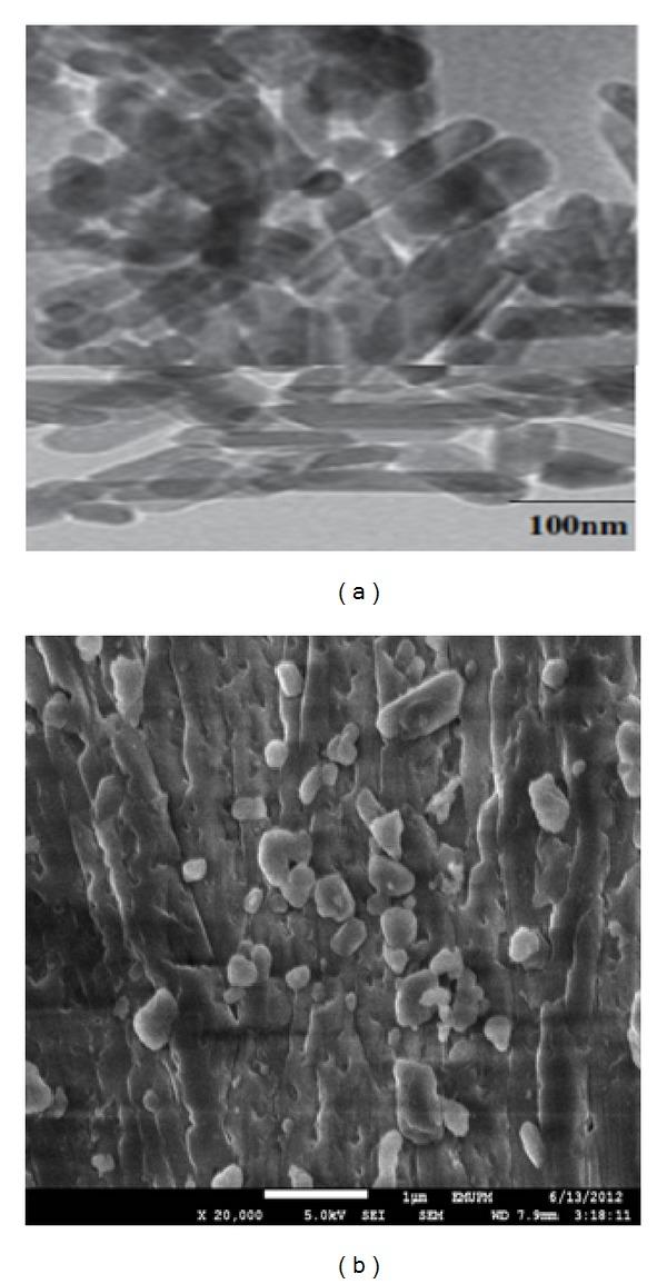 https://cdn.ncbi.nlm.nih.gov/pmc/blobs/edf6/4084513/ce4e90cab6ac/BMRI2014-391869.001.jpg